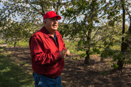 Shanholtz Orchard